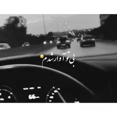 بی تو آوار شدم