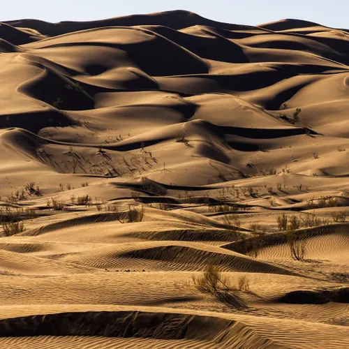 اینجا ایران است