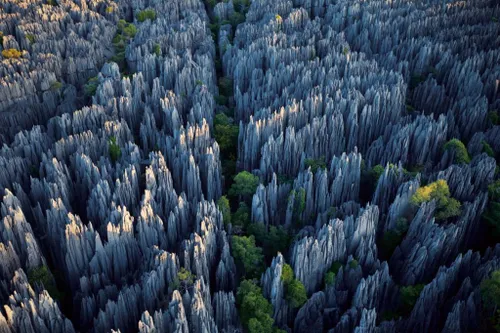 جنگل سنگی، چین