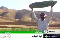 خيار خانواده 35کيلويي کرمانشاه