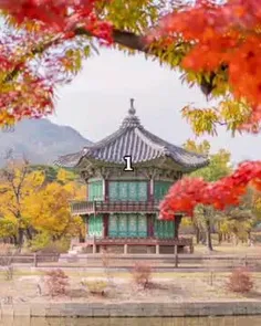 پاییز؛کره جنوبی؛قشنگه