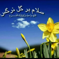 ‍ ‍ جمعه یعنی عطرنرگس درهوا سرمیکشد🌼 🍃 