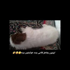 خودایا چقدر کوچولو بود اینجا دو ماهشه 🥺🤏 