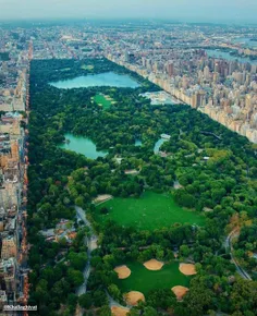 #پارک زیبای سنترال به عنوان#اکسیژن شهر#نیویورک