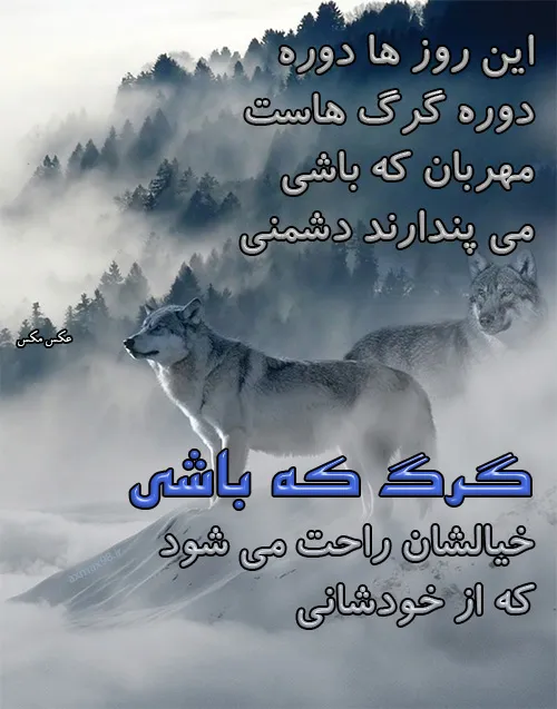 توبه گرگ مرگه نه آقا گرگه