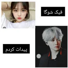 فیک شوگا