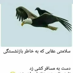 سلامتی‌ عقابی‌ که‌ به‌ خاطر‌ 