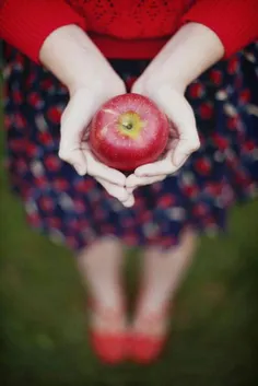 ✔   سیب در دست ِ تُو ُ لَرزه بر اَندام ِ من َ ست .. به جَ