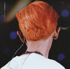 Orange Yeol 🍂🍟