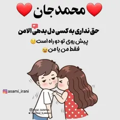 گوناگون ganoog 32473001