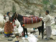 مرد بختیاری همراه با یار و باورش در حین بارگیری و کوچ بجا