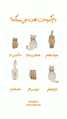 باگربه ها حرف بنیم