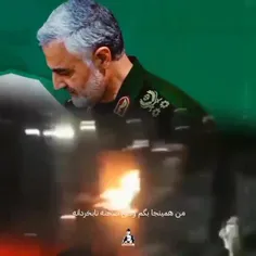 شهید سردار قاسم سلیمانی:  « وقتی صحنه نابخردانه آن نادان را در آتش زدن پرچم ایران دیدم خیلی دلم سوخت. گفتم‌ای کاش به جای پرچم، من را ده بار آتش می‌زدند. نه تصویر من را، من را! چون ما برای نشاندن پرچم 