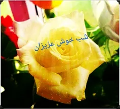 بچه ها منكه از اين وضع خسته شدم شب همگى خوش