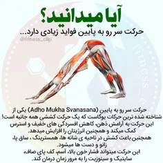 شخصی ali999999 26405093