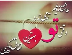 روی من شرط ببند . . .