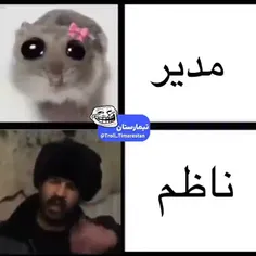 دیدن و لایک نکردن حرام است🚫