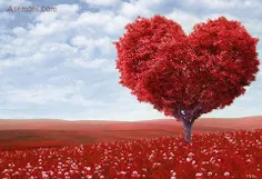 درختتت مثل ادما قلبش  میشکنه .......