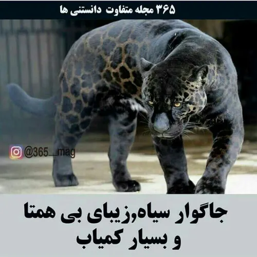 خیلی خوشکله نتونستم پستش نکنم ❤😍✔