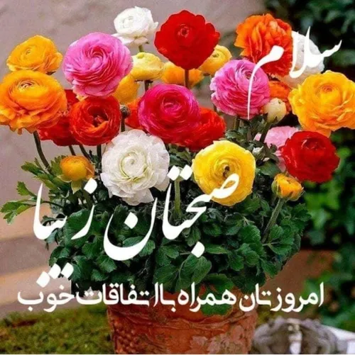 باران 🌸ســــلام