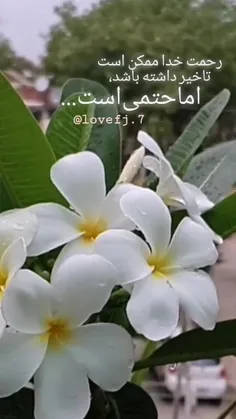 رحمت خدا ممکنه است تاخیر داشته باشید اما حتمی است 💖