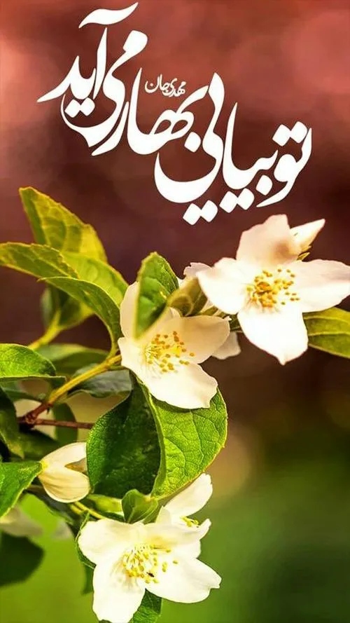 مذهبی uzarsifjoon 26233009 - عکس ویسگون