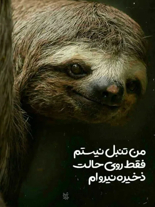 والاااا بوخوداااا😁