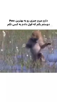 خدایی خیلی حق بود😂😂