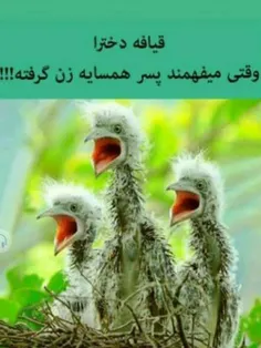 الهییییی 😁😅