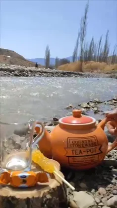 یک یار نداریم که یک چای برام بیاره 😂