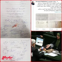 چیزی که دیروز از عملکرد پروانه سلحشوری و فراکسیون امید من