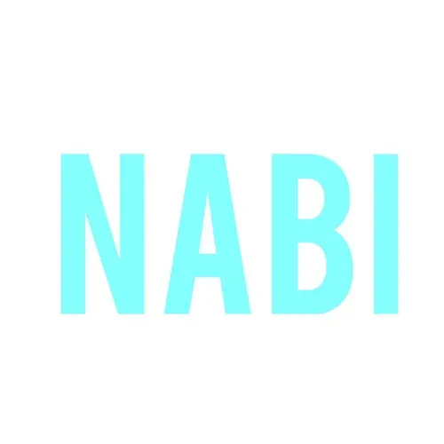 Nabi Company, which means butterfly today, was founded by