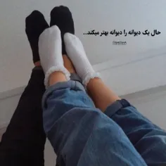 به یک دیوانه دل دادن ،