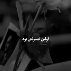 اولین کنسرت حامیم 🖤🤍😍🖤🤍