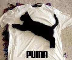 puma!