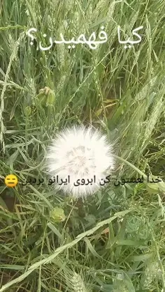 بعد میان زرم میزنن 😒