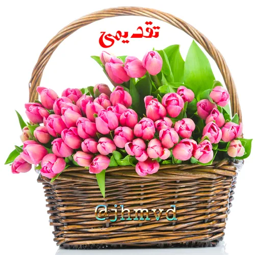 عکس نوشته