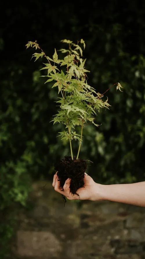 جـمیـݪ رائـع روعــہ ابــداع خاص قشنگ هنری بینظیر جذاب شیک