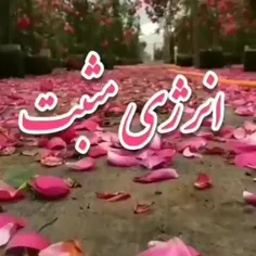 سلام صبح همگی بخیر 