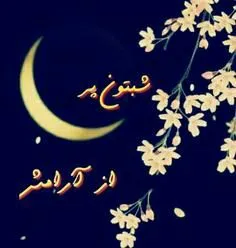 شب خوبی داشته باشید...