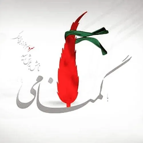 گمنـــــــام، مثل شــــــــــهید