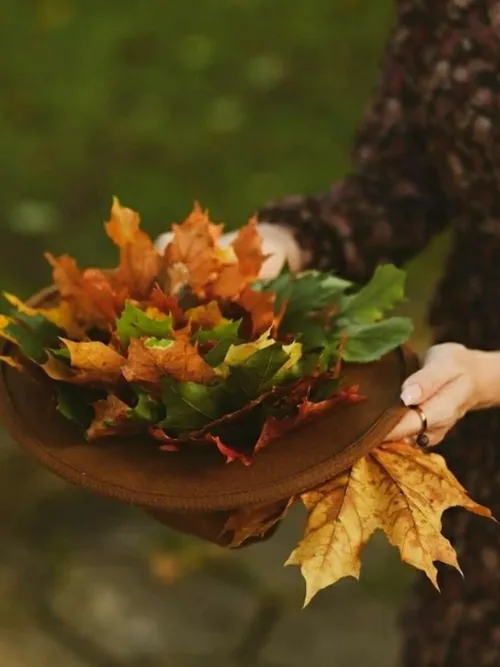 میبوسی مرا...