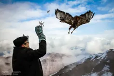 آزاد کردن پرندگان وحشی در ارتفاعات تبریز