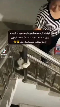 گربه دوست دارید یا سگ 