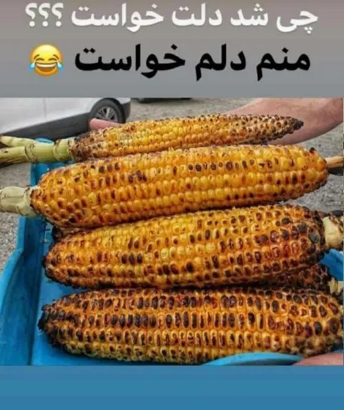 گوناگون n_egi_n 27462323 - عکس ویسگون