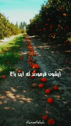 سلام و احترام🌷