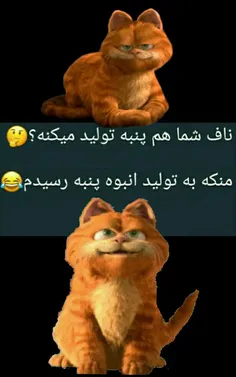 هههـِخخخ😸