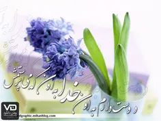 عاشقانه ها roya567 906134