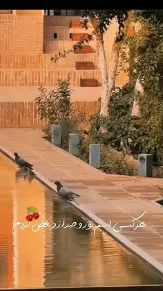 🌱🍒تا سحــر همنشین چشم ترم