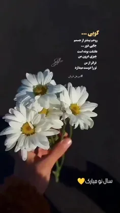 سال نو مبارک💛